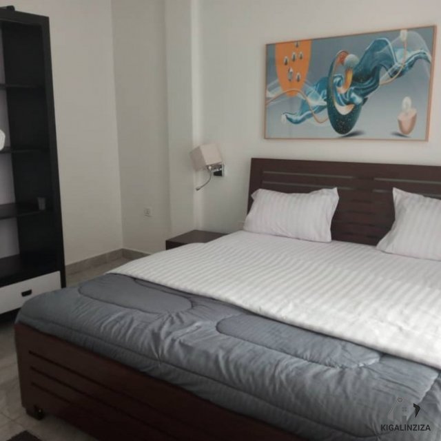 Fully furnished apartment for rent in Kigali kanombe