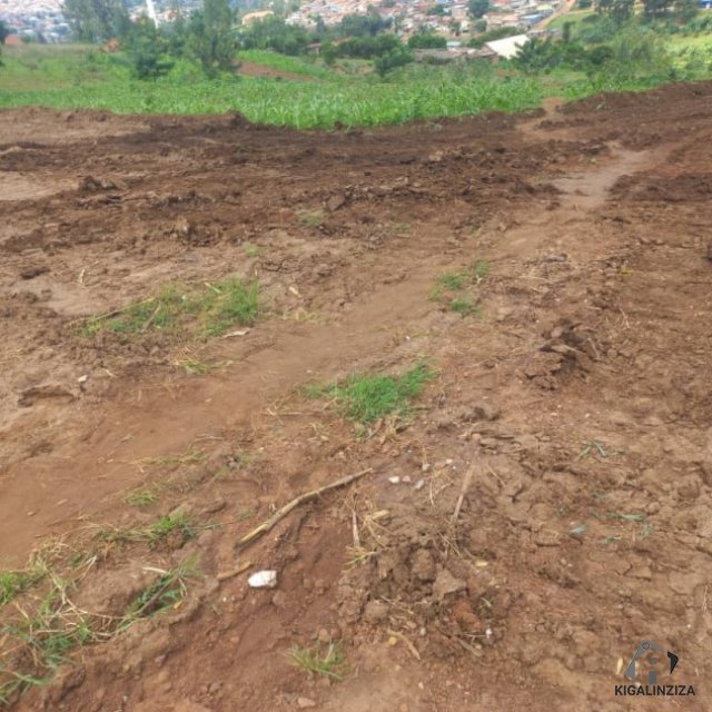 Plot for sale in Masaka Rusheshe