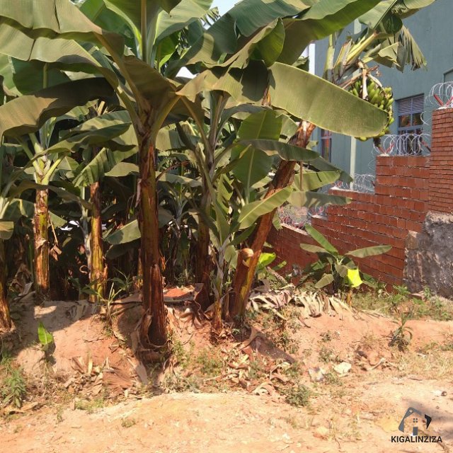 Very nice plot for sale at kicukiro rebero  busambu +250788579170