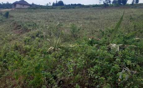 Plots   for sale kigali  rusororo