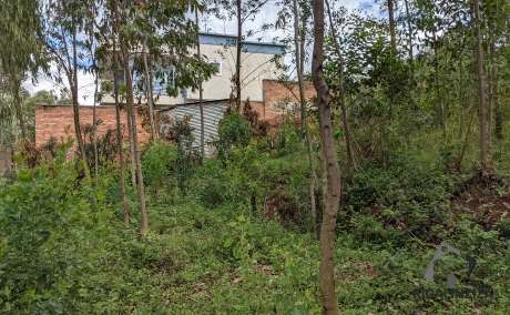 Plot for sale at Rebero Bisambu +250788579170