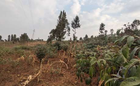 Nice plot for sale in Bugesera